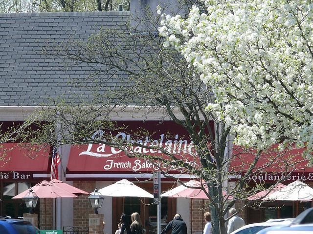 french bakery with red sign and white spring flower trees in bloom