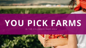 U-Pick Farms In Columbus Ohio